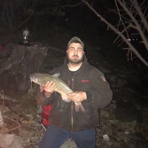 Meet your Posher, Kyle